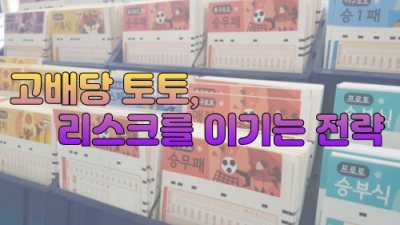 “고배당 토토, 리스크를 이기는 전략”