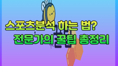 스포츠분석 하는 법? 전문가의 꿀팁 총정리